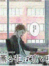 间谍过家家 第二季